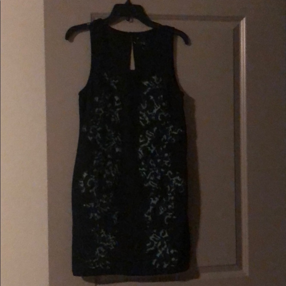 Sparkle and Fade Dress